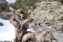 Caçador paga 85 mil euros para matar espécie de cabra rara