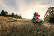 Morreu Boo, “o cão mais querido do mundo”