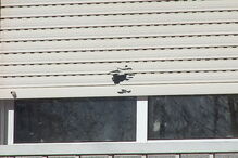 Habitação do casal fica próxima de uma escola EB 2,3, em Fiães, Santa Maria da Feira