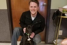 Cão ressuscita após ter sido abatido