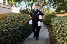 Pássaros retirados de casa onde estavam presos mais de 80 aves