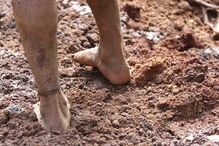 Pessoas e animais entre rios de lama causados pela rutura de barragem no Brasil