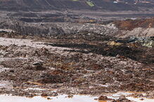 Pessoas e animais entre rios de lama causados pela rutura de barragem no Brasil