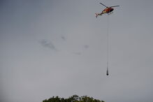 Pessoas e animais entre rios de lama causados pela rutura de barragem no Brasil