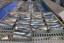 DIA remove mais de 24 mil latas de sardinha por possível falha de esterilização