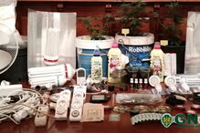 Jovem apanhado em flagrante a levantar encomenda com sementes de canábis nos correios