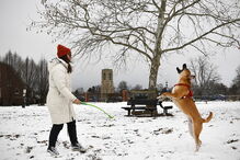 Temperaturas negativas deixam Estados Unidos da América pintados de branco