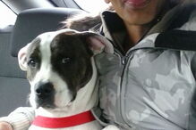 Homem fica com o pénis do tamanho de uma garrafa de vinho após ato sexual