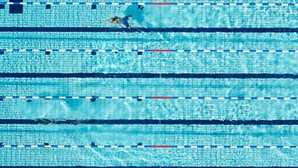 Federação húngara investiga técnico por alegado assédio psicológico a nadadores