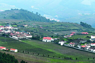 Aldeia de Provesende é muito conhecida pelas suas inúmeras vinhas