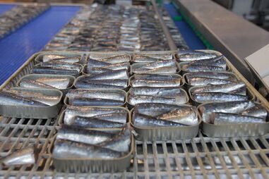 DIA remove mais de 24 mil latas de sardinha por possível falha de esterilização