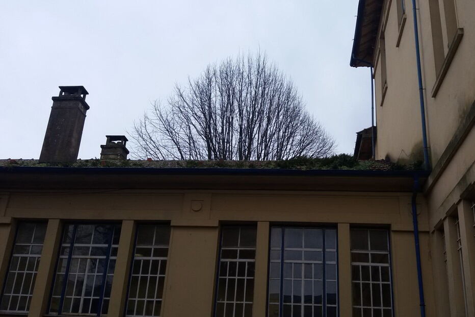 Escola Alexandre Herculano, no Porto