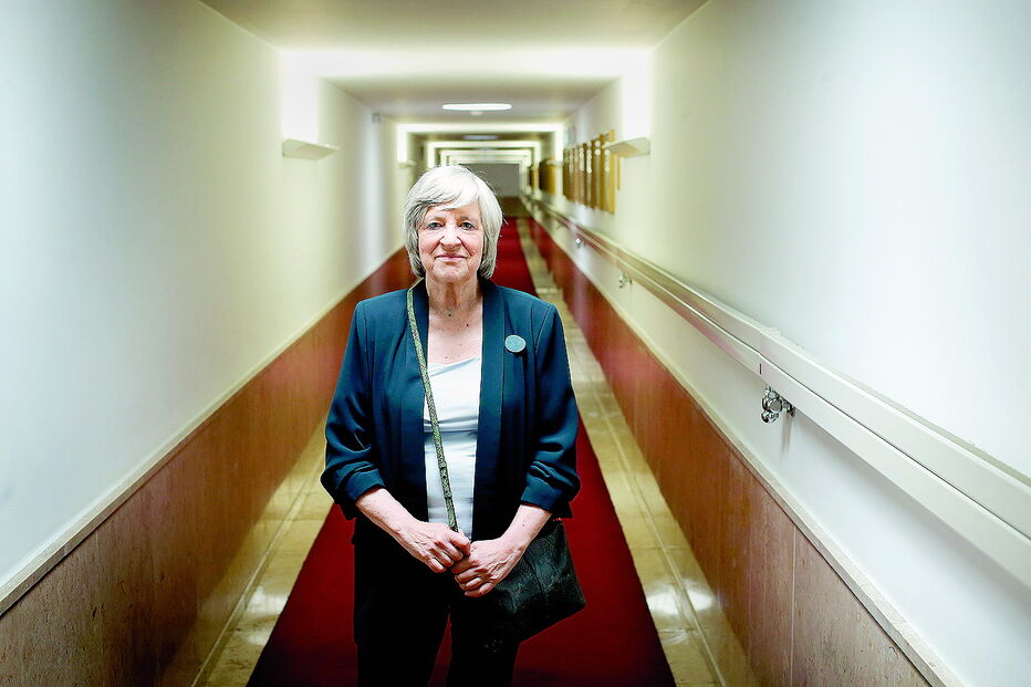 Helena Roseta foi a mentora  da proposta  para criação  de uma futura  Lei de Bases  da Habitação   