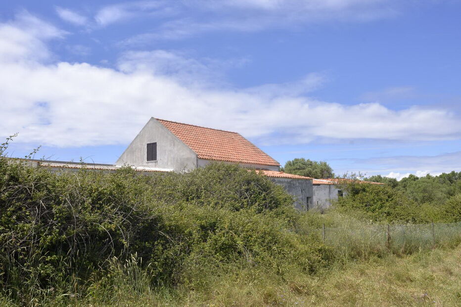 Casa e local do homicídio 