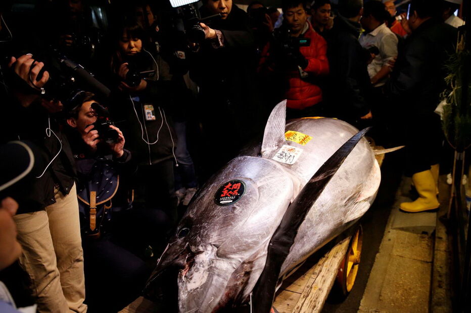 Atum rabilho vendido por históricos 2,7 milhões de euros no leilão de Ano Novo em Tóquio