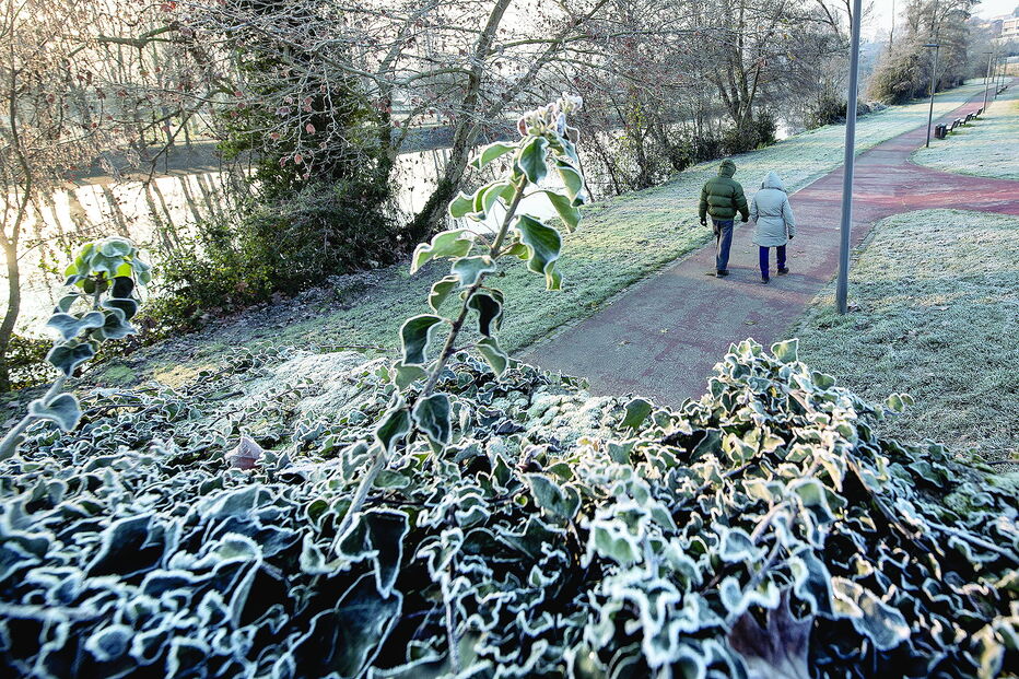 Há regiões onde os termómetros têm registado temperaturas negativas. Pico da gripe deve acontecer nos próximos dias 