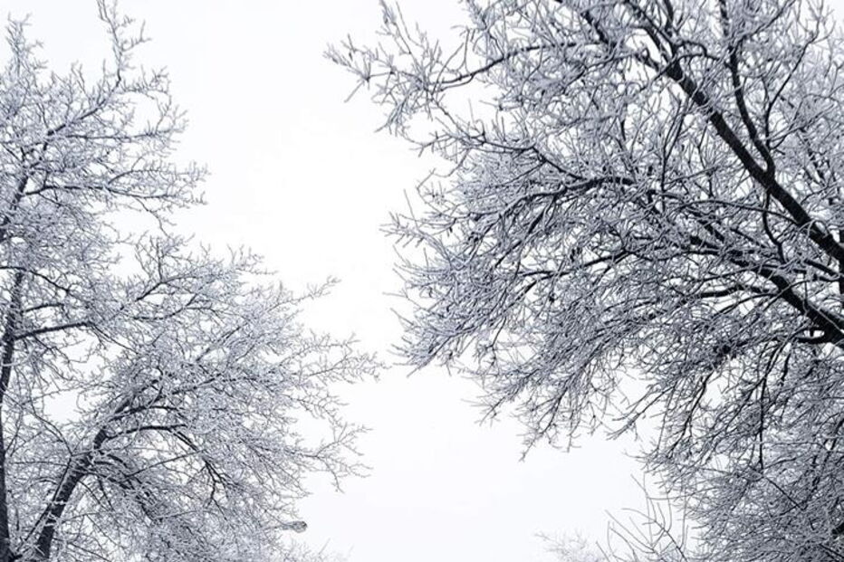 Várias cidades no Norte do país acordaram cobertas de sincelo