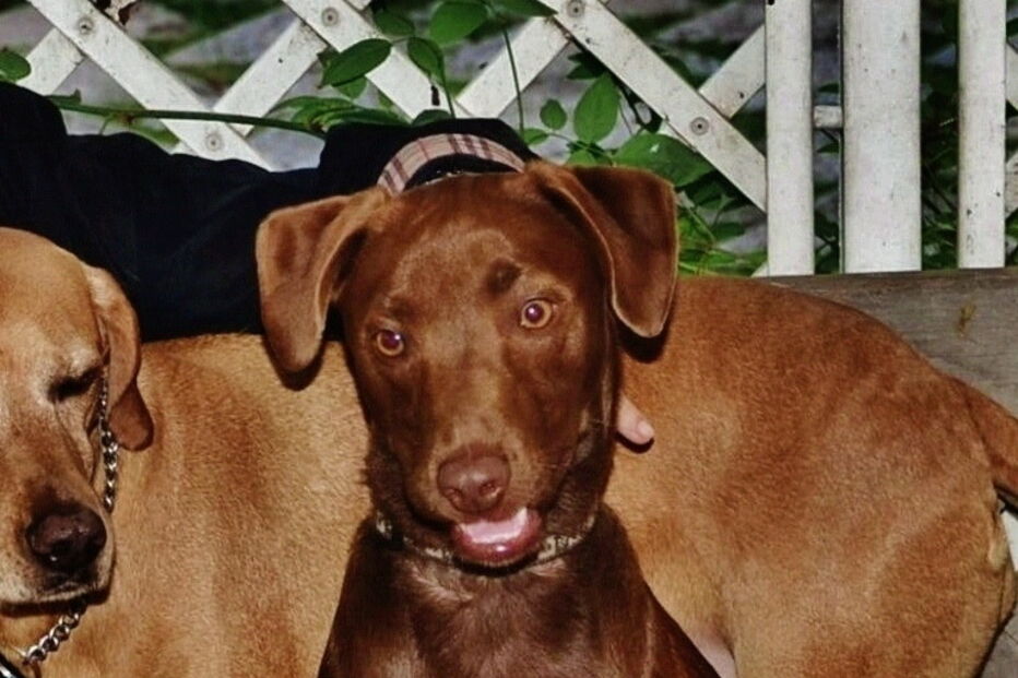 2019-01-06_16_26_27 5 - Janº 2012 - SÍRIUS.JPG