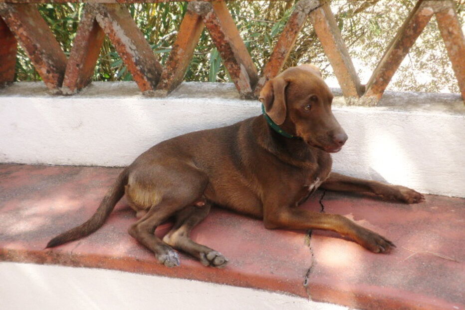 2019-01-06_16_26_27 6 - 2012 - Sírius.JPG