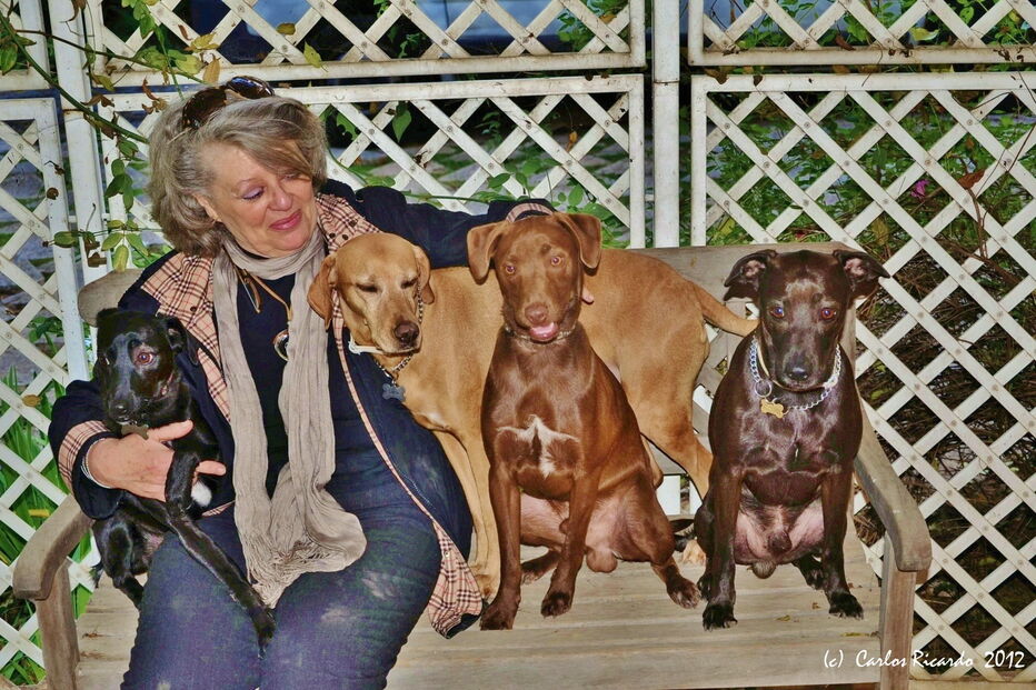 2019-01-06_16_26_29 52 A - Janº 2012 - Guida com Vega, Duna, Sírius e Vison.JPG