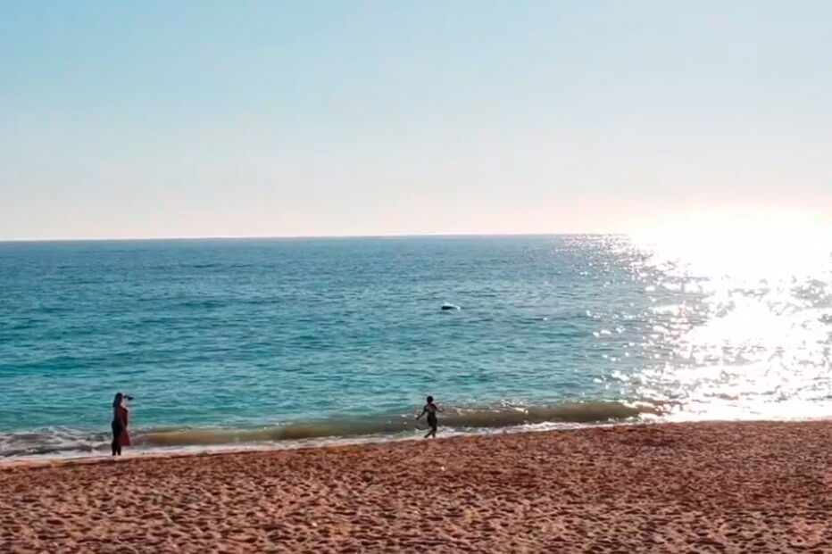 Golfinhos dão 'espetáculo' na praia de Armação de Pêra