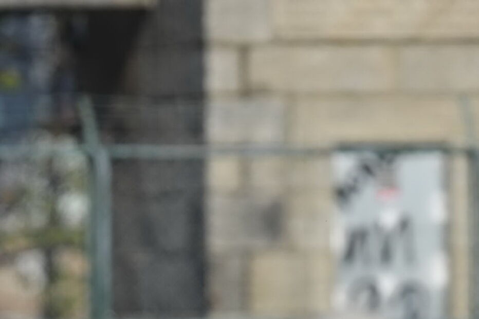 Ricardo Ferreira vai ser operado pela terceira vez ao joelho direito