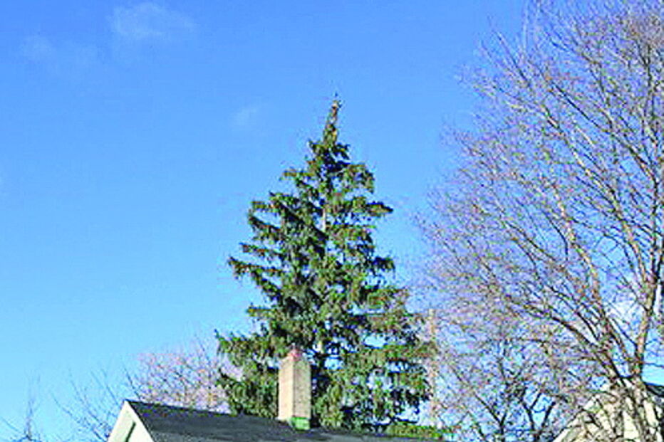Casa onde ocorreu o crime