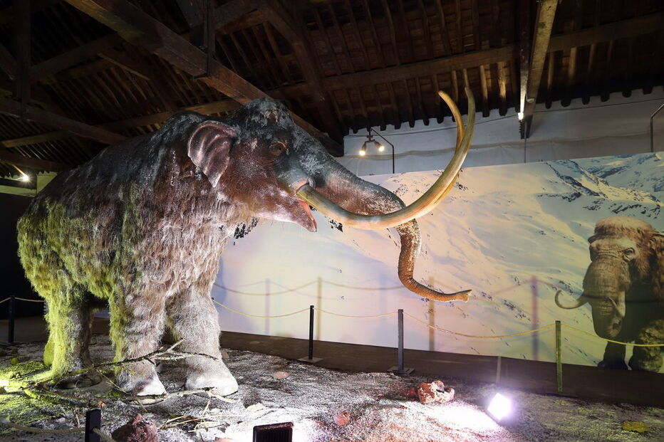 A exposição 'Gigantes da Idade do Gelo' abre a 10 de Março na Cordoaria Nacional, em Lisboa