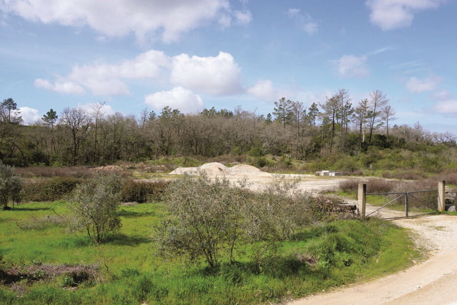 Terreno em Aljubarrota, Alcobaça, onde a empresa australiana pretende avançar com os trabalhos de perfuração 