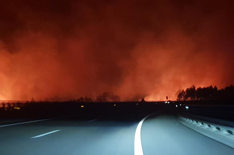 Incêndio lavra em zona de mato em São Pedro da Cova 