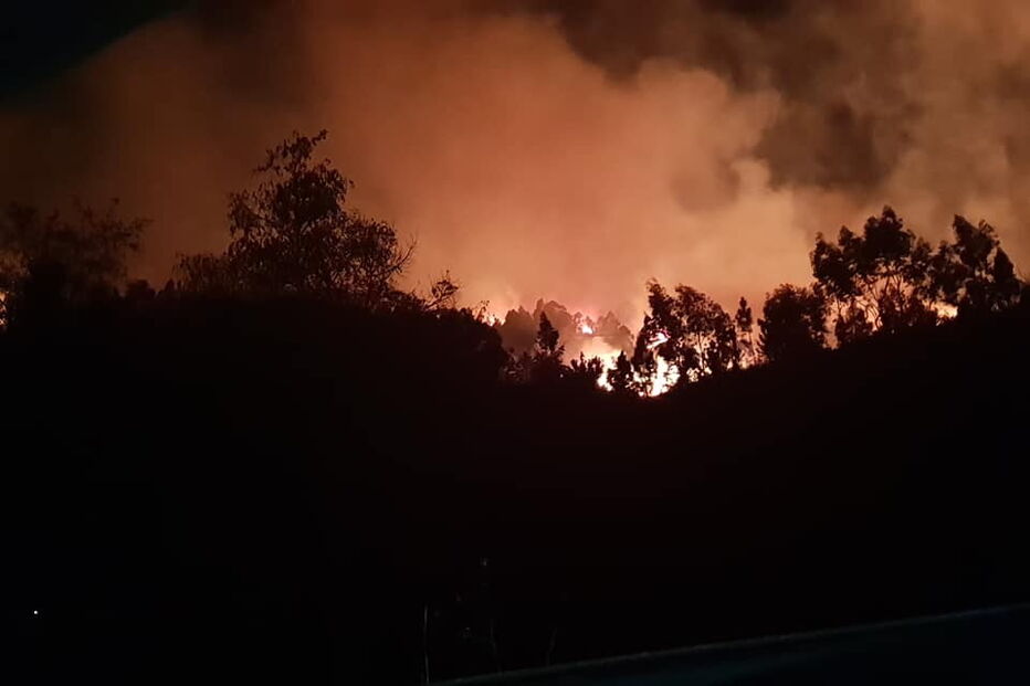 Incêndio lavra em zona de mato em São Pedro da Cova 