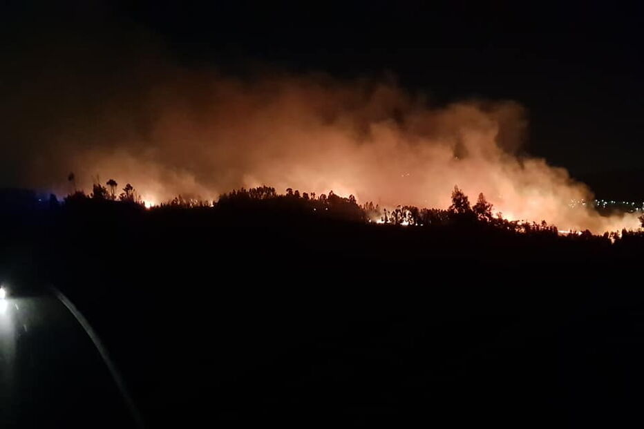 Incêndio lavra em zona de mato em São Pedro da Cova 