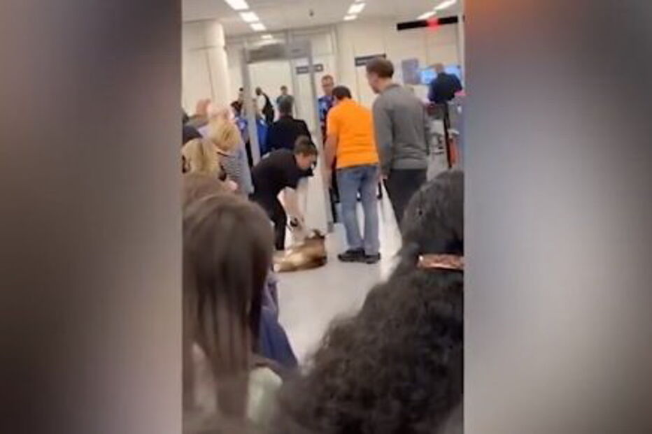 Cão recusa passar no detetor de metais de aeroporto