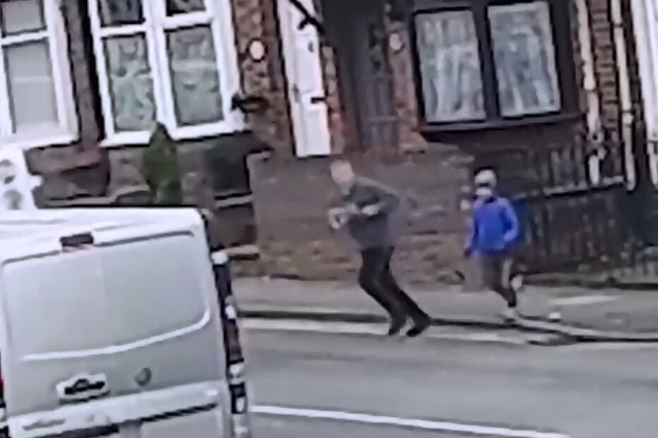 Ladrão rouba cão a criança, em Inglaterra