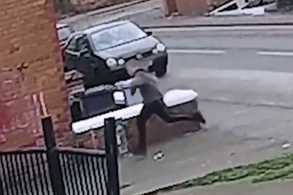 Ladrão rouba cão a criança, em Inglaterra