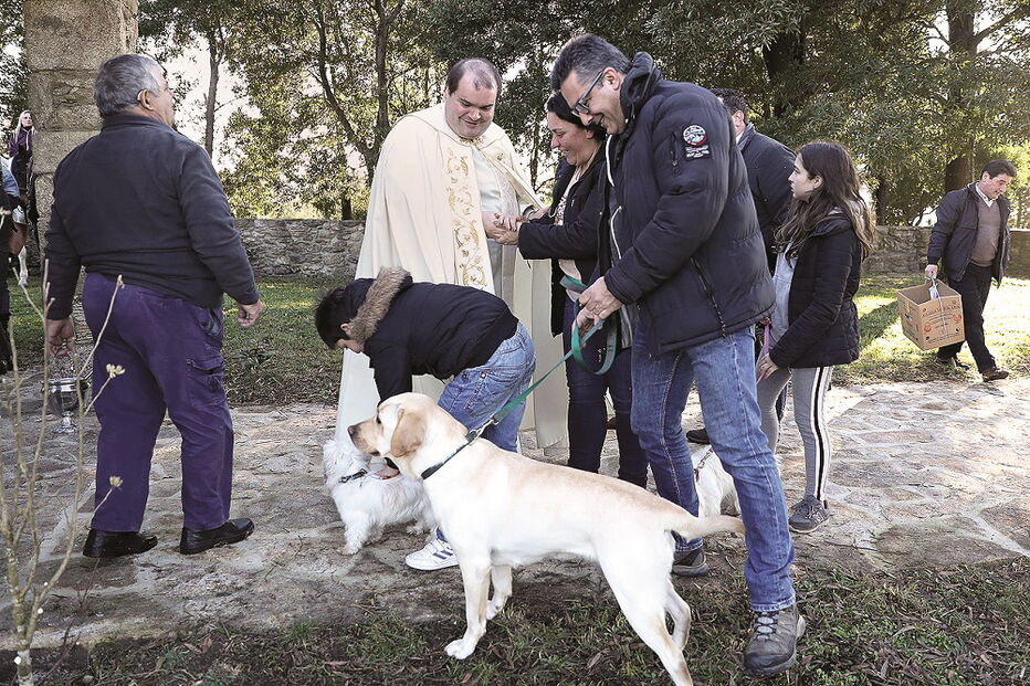 Dezenas de animais de companhia receberam a bênção na cerimónia religiosa realizada em Caminha 