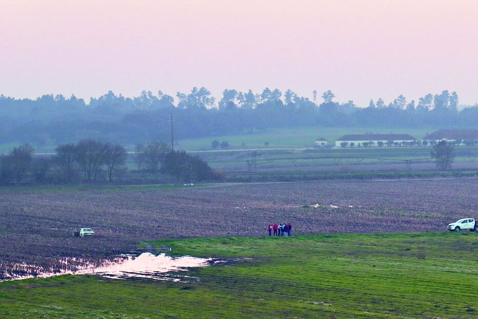 Vítima de 84 anos morreu no local