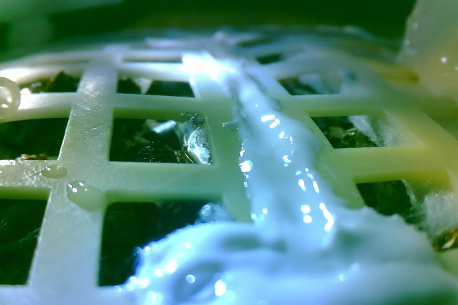 China plantou algodão na Lua