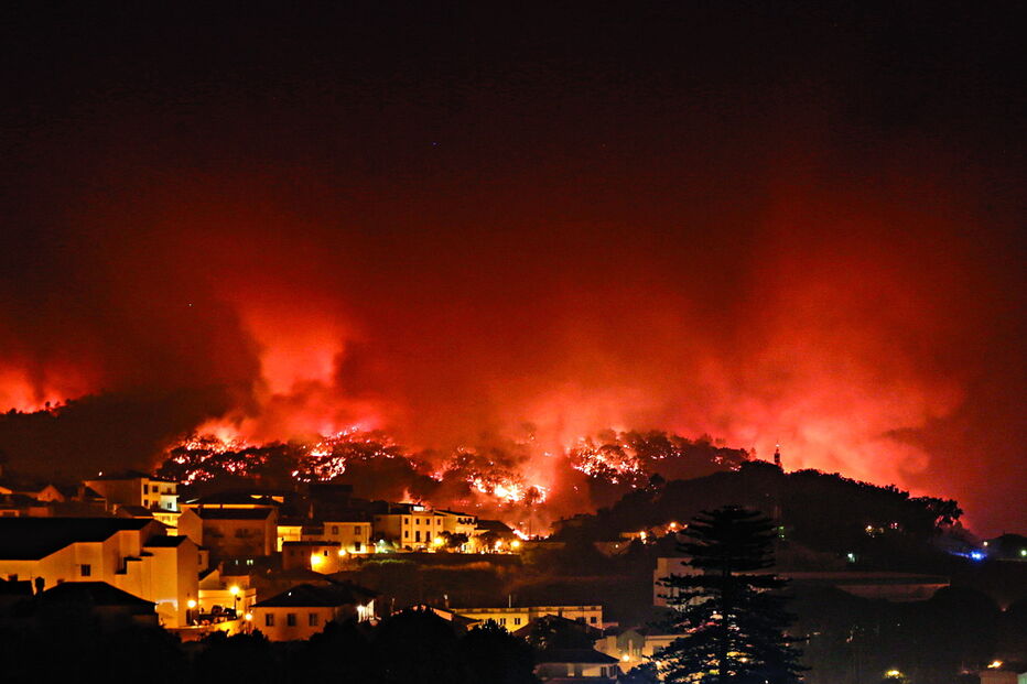Projeto para revitalizar Monchique após o incêndio conta com 500 mil euros