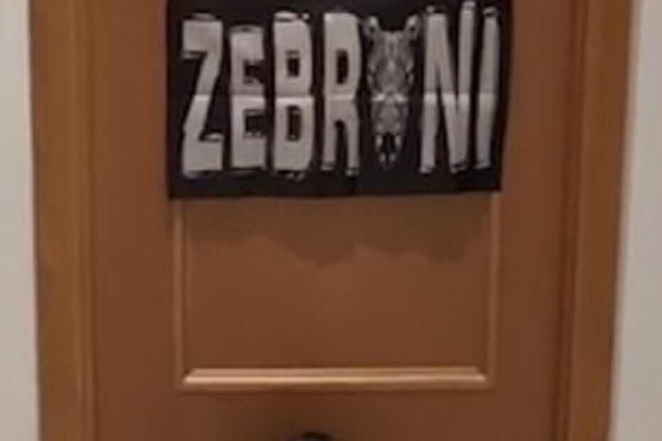 Gato 'guarda-redes' defende todas as bolas rematadas pelo dono