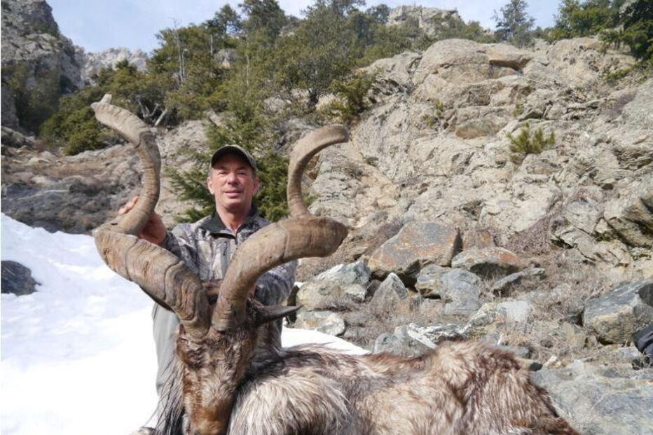 Caçador paga 85 mil euros para matar espécie de cabra rara