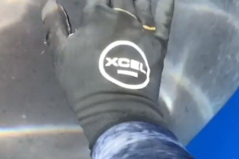 Equipa de mergulhadores avista e toca em tubarão branco gigante