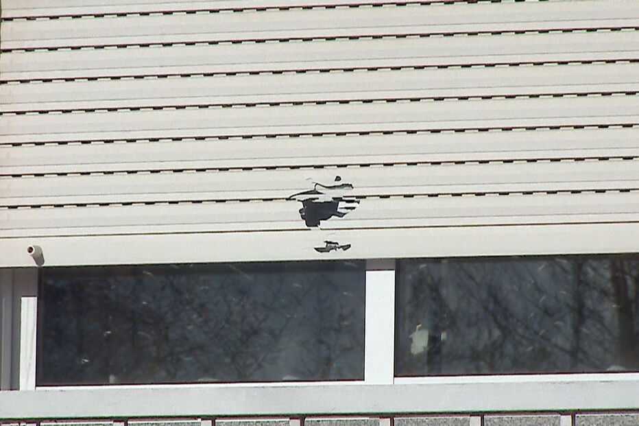 Habitação do casal fica próxima de uma escola EB 2,3, em Fiães, Santa Maria da Feira