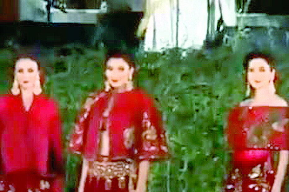 Cão quer ser modelo e invade desfile na Índia