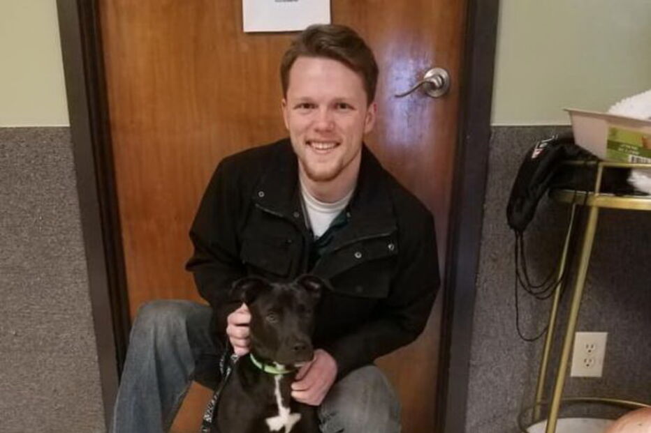 Cão ressuscita após ter sido abatido