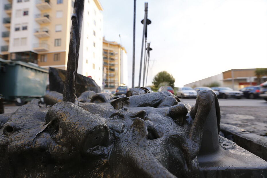 2019-01-23_08_25_21 17658468.JPG