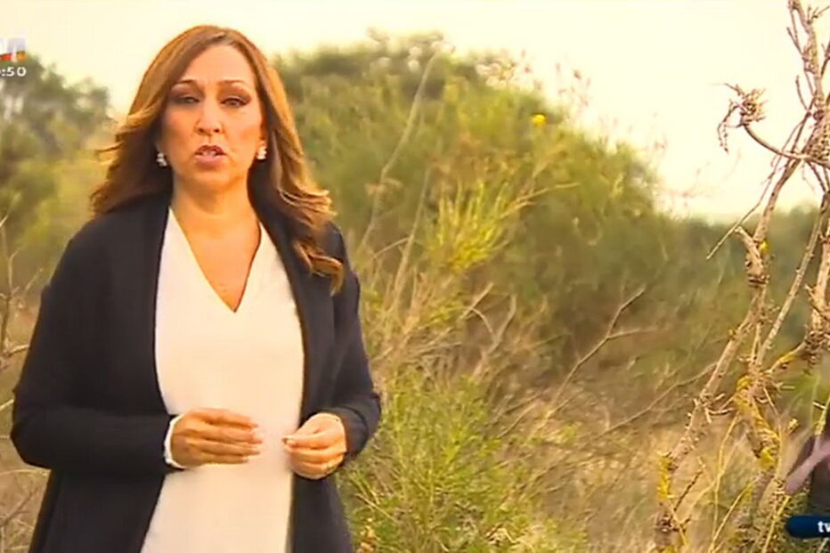 A jornalista Ana Leal