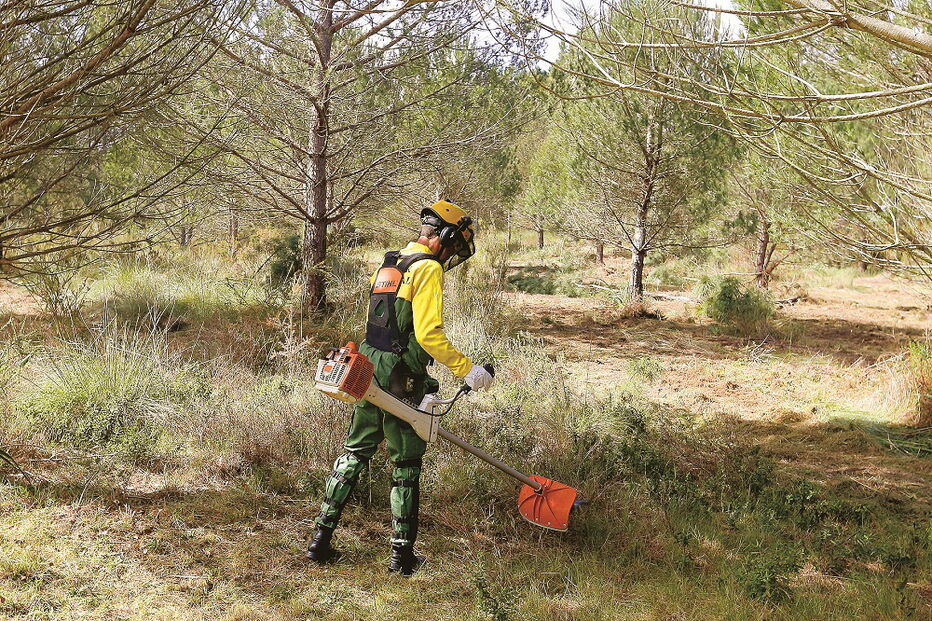 Nova lei quer impedir o fracionamento das áreas florestais. A localização geográfica é determinante para definir a extensão mínima que as propriedades podem ter
