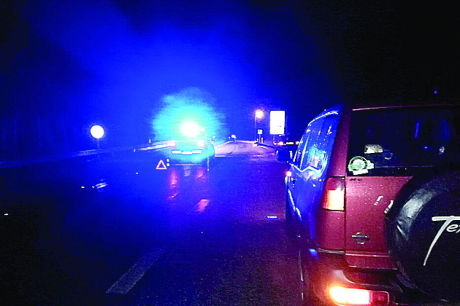 Animais atravessaram a estrada