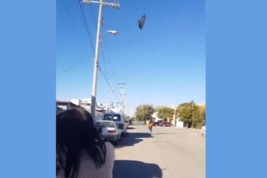 Mãe mexicana acerta na filha com chinelo a grande distância